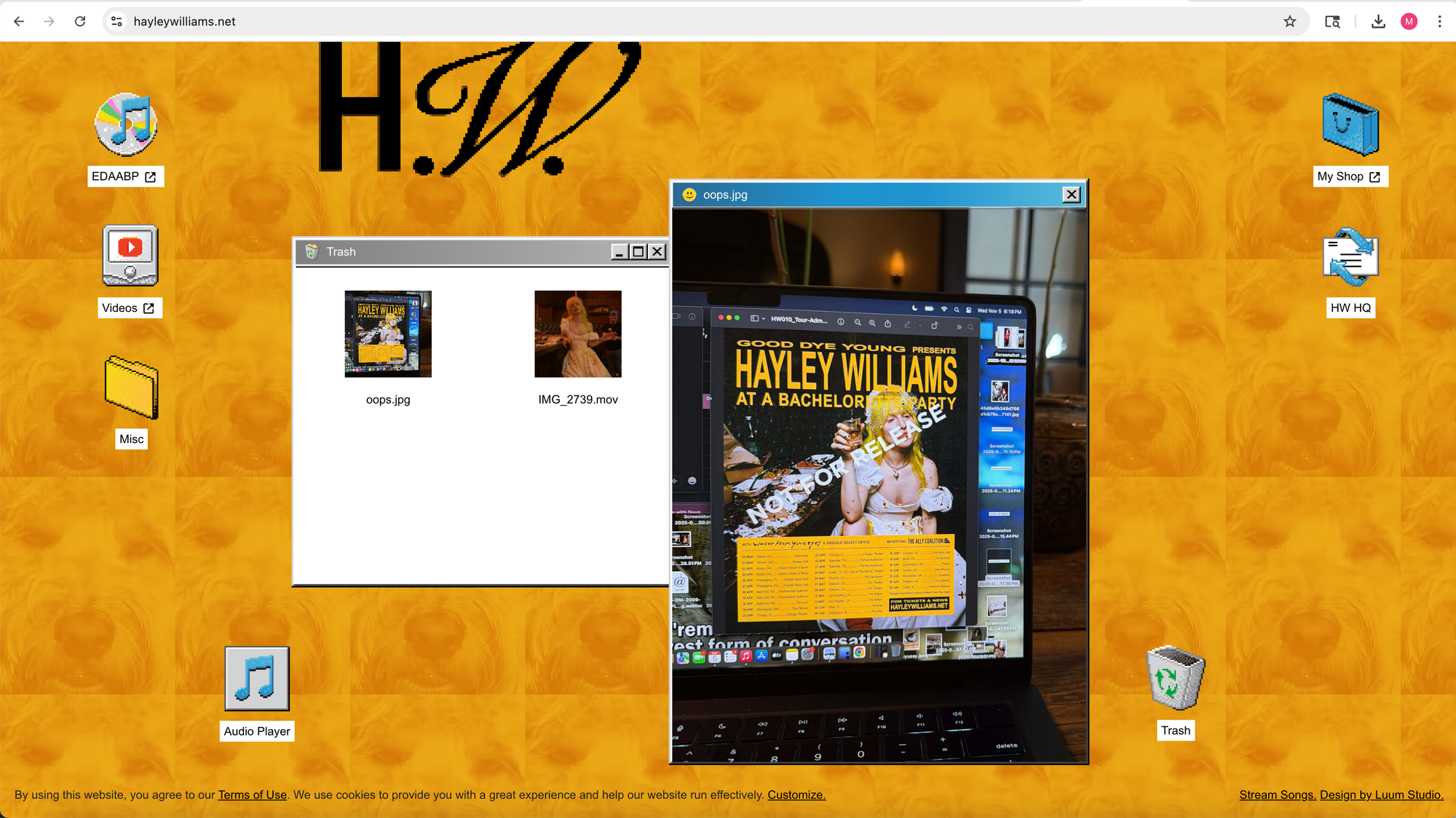 Hayley Williams "Leaks" Solo Tour Dates; Will Play Franklin Music Hall in April